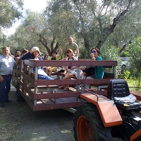 卡里亚蒂Agriturismo Il Maresciallo别墅 外观 照片