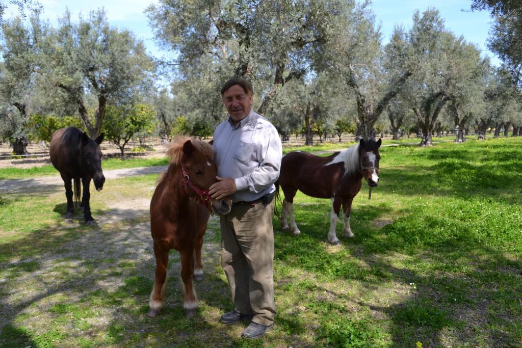 卡里亚蒂Agriturismo Il Maresciallo别墅 外观 照片