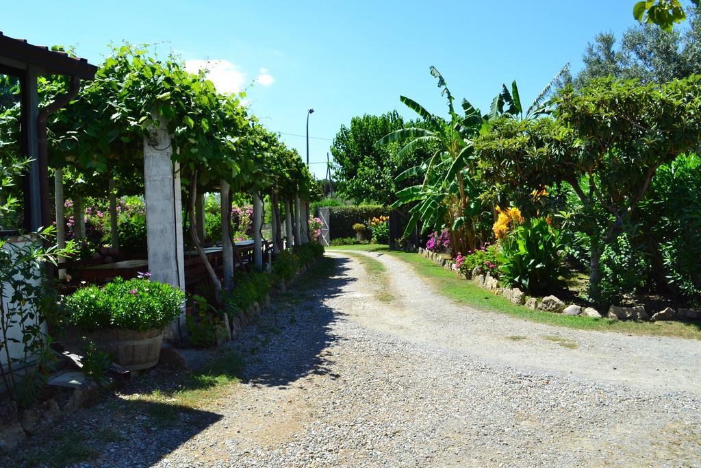 卡里亚蒂Agriturismo Il Maresciallo别墅 外观 照片