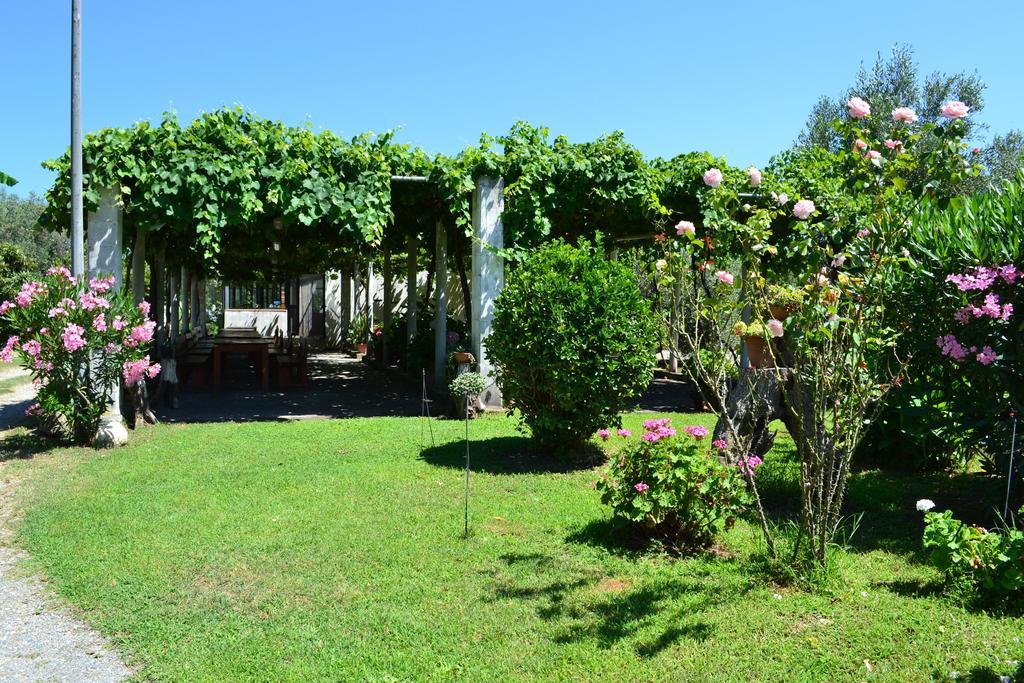 卡里亚蒂Agriturismo Il Maresciallo别墅 外观 照片