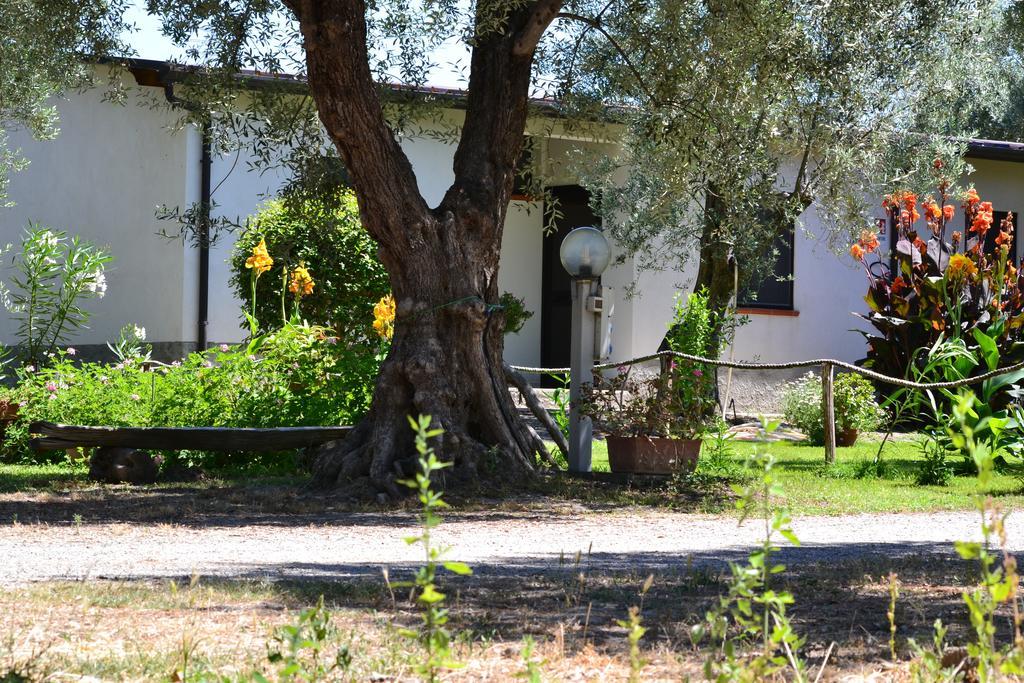 卡里亚蒂Agriturismo Il Maresciallo别墅 客房 照片